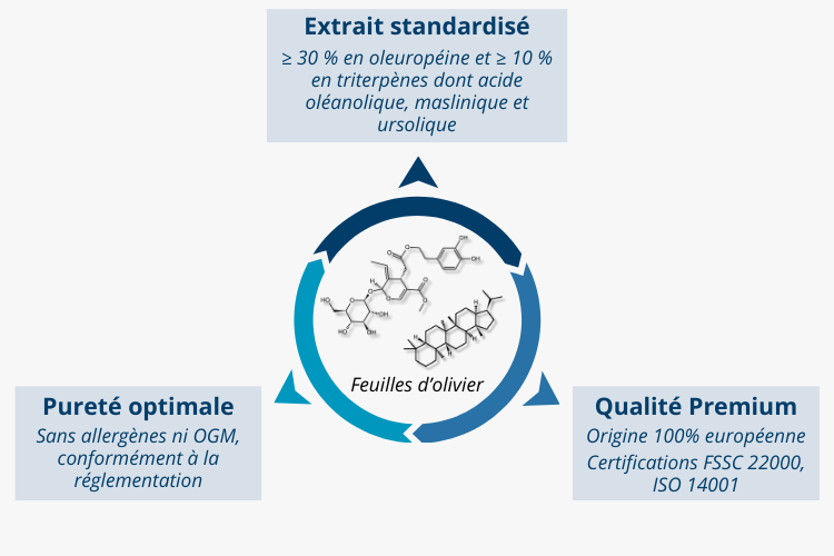 Extrait de feuilles d’olivier standardisé en oleuropéine